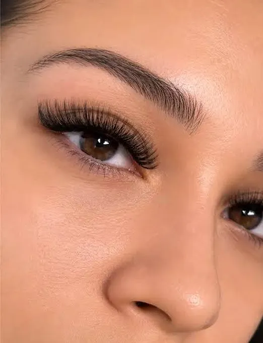 laminated brows