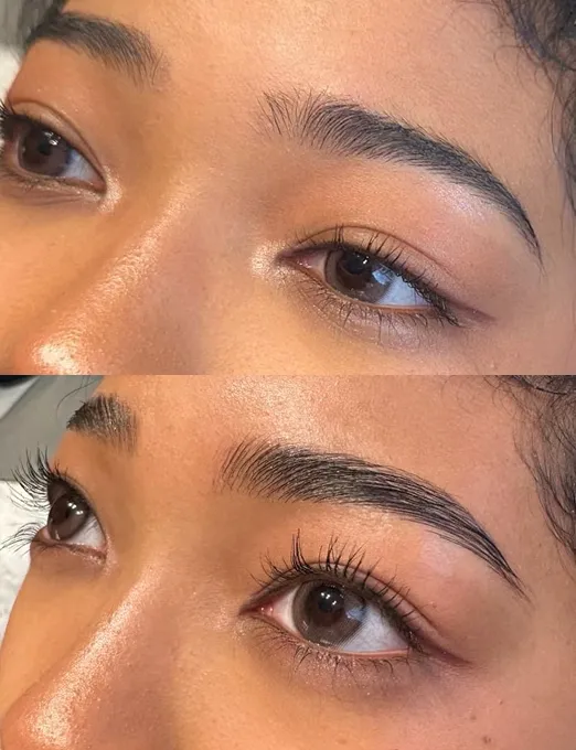 laminated brows