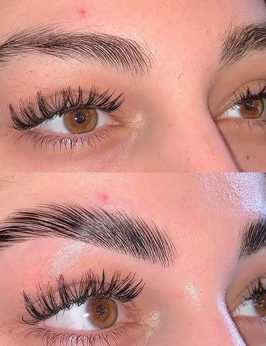 laminated brows