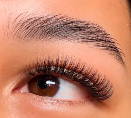 brow & lash treatment