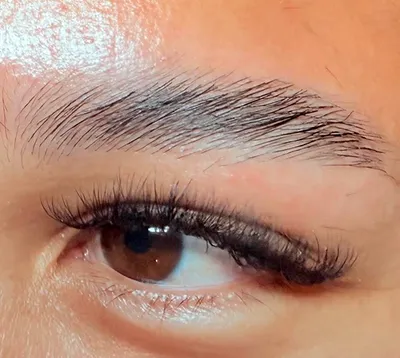 brow & lash treatment