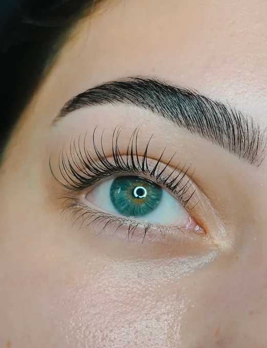 lashes