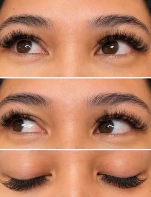 lashes